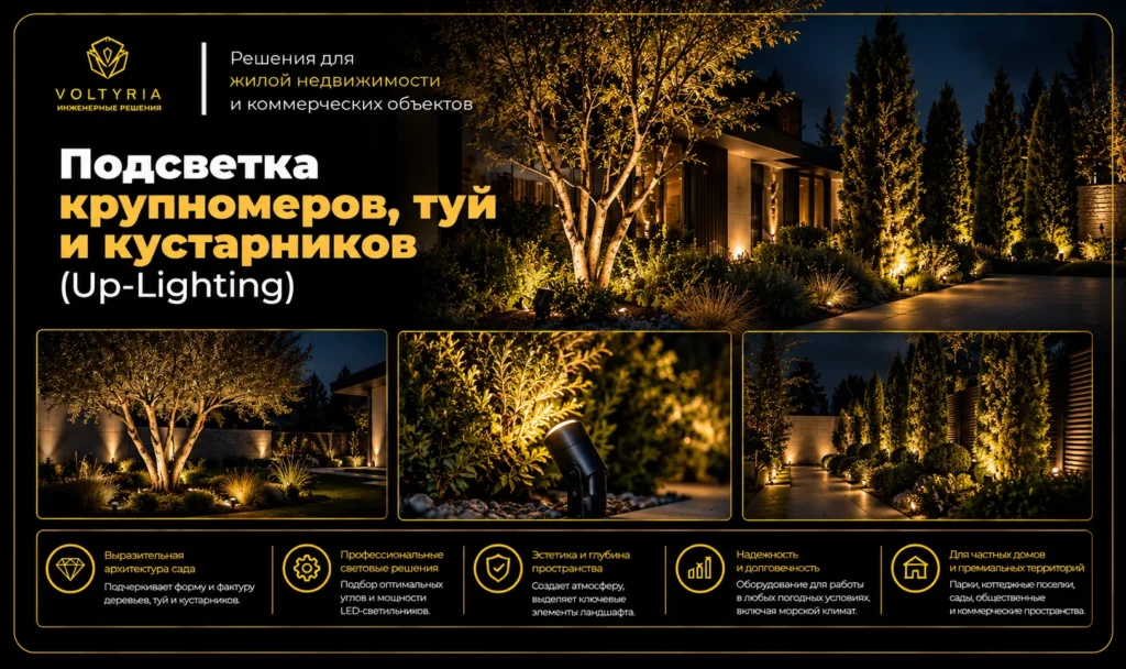 Ландшафтное освещение участка и сада в Одессе под ключ
Архитектурная подсветка крупномерных деревьев, туй и кустарников (Up-Lighting) в ландшафтном дизайне частного дома — Voltyria, Одесса.